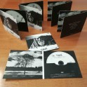 100 CD Digifile Album 2 ante cartoncino